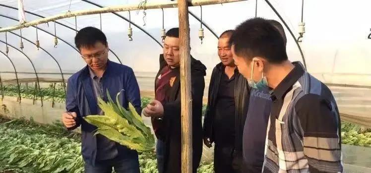 Z6·尊龙「中国」官方网站