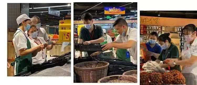 Z6·尊龙「中国」官方网站