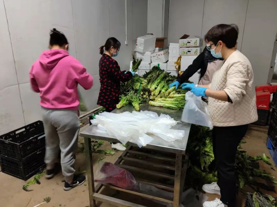 Z6·尊龙「中国」官方网站