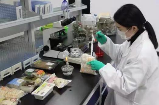 Z6·尊龙「中国」官方网站