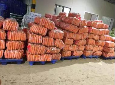 Z6·尊龙「中国」官方网站