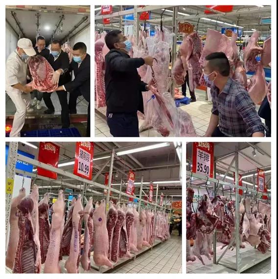 Z6·尊龙「中国」官方网站