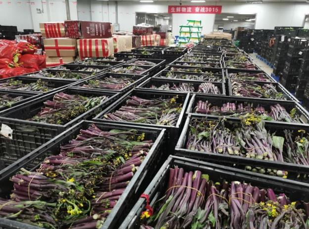 Z6·尊龙「中国」官方网站