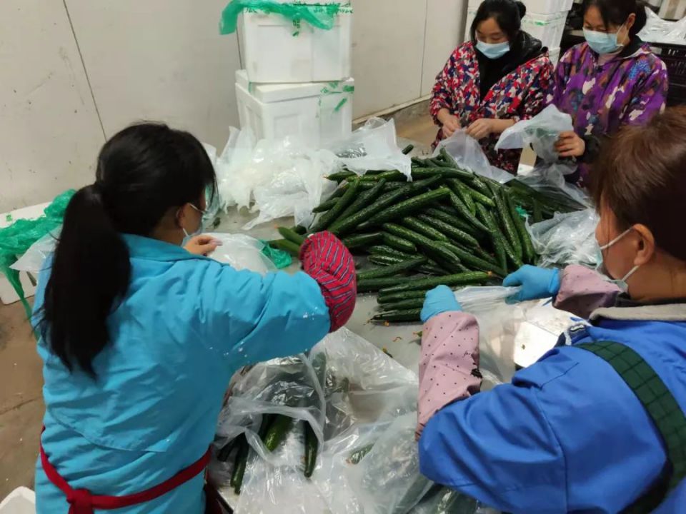 Z6·尊龙「中国」官方网站