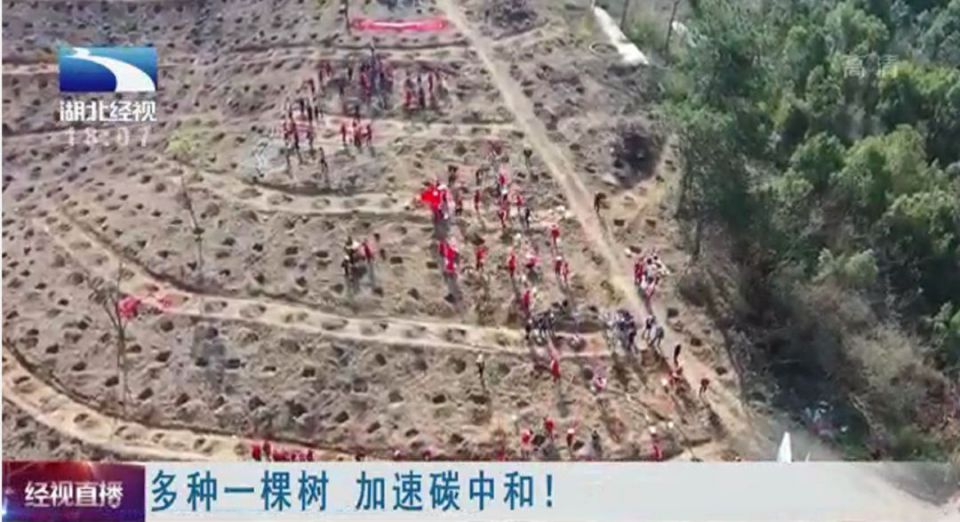 Z6·尊龙「中国」官方网站