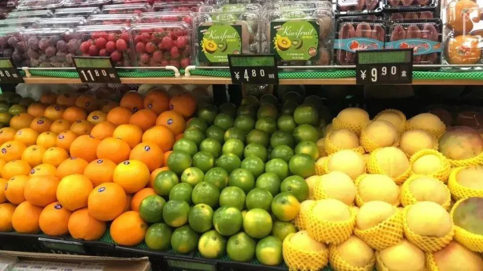 Z6·尊龙「中国」官方网站