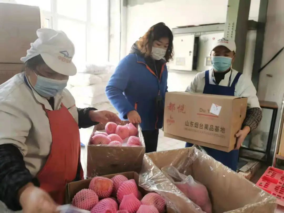 Z6·尊龙「中国」官方网站