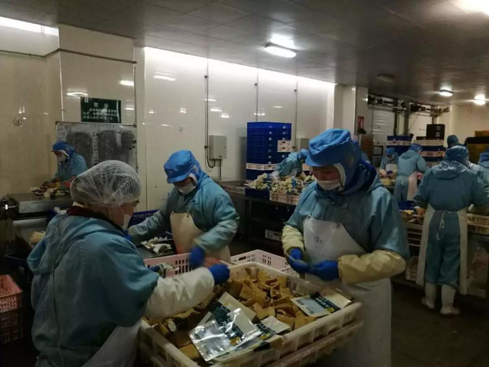 Z6·尊龙「中国」官方网站