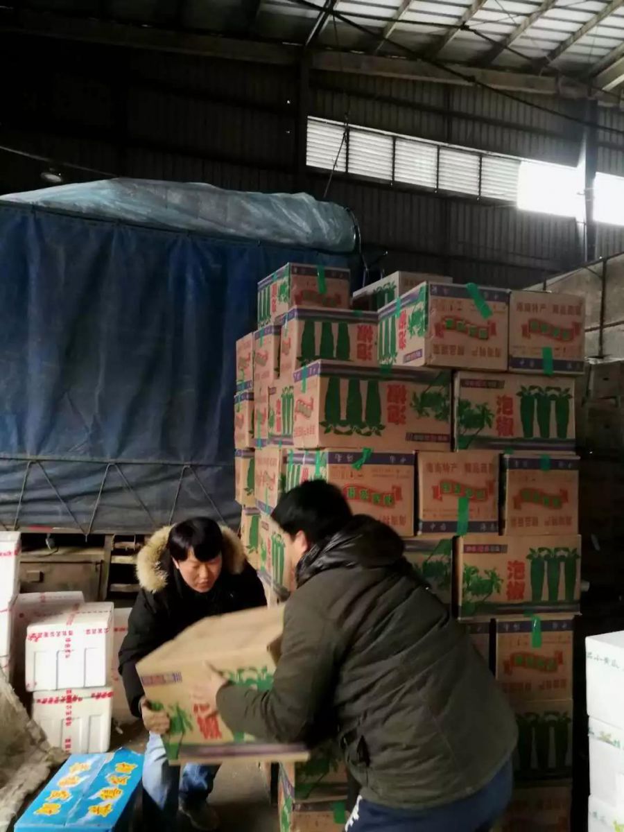 Z6·尊龙「中国」官方网站