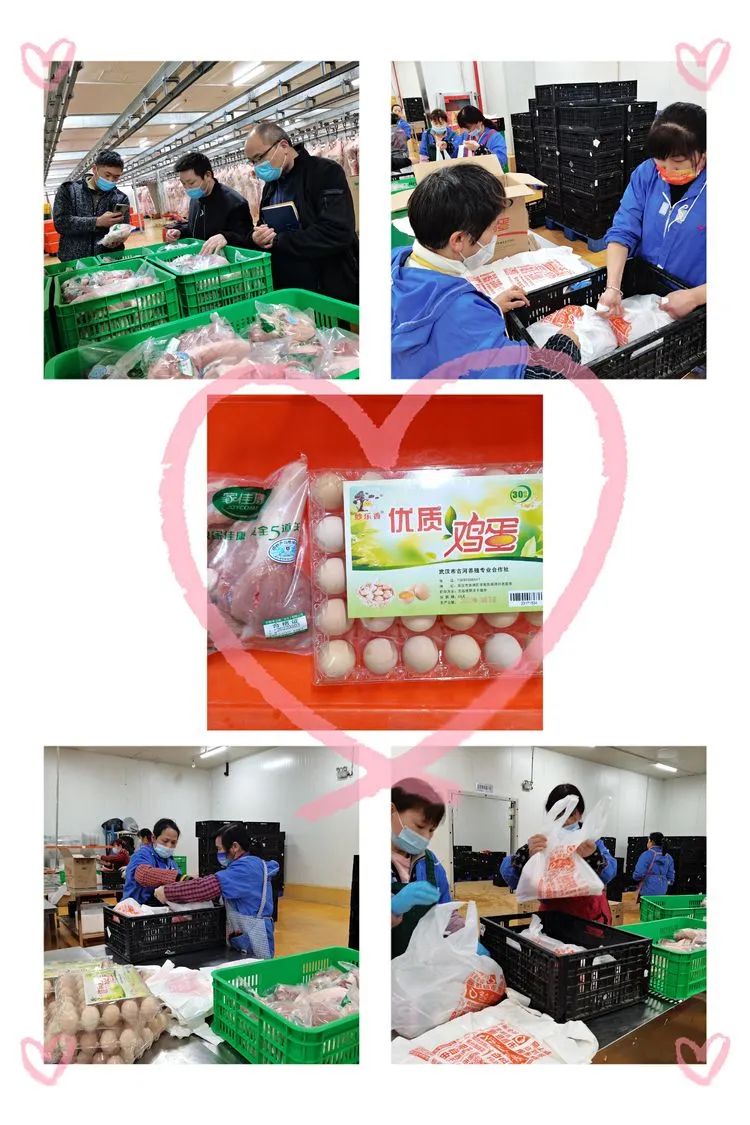 Z6·尊龙「中国」官方网站