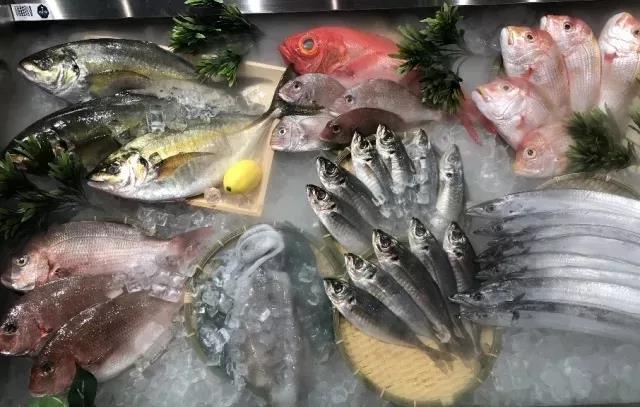 Z6·尊龙「中国」官方网站