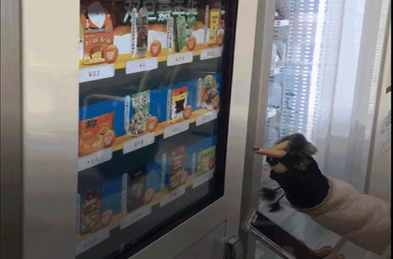 Z6·尊龙「中国」官方网站