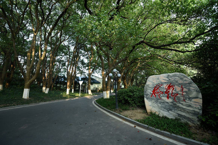 Z6·尊龙「中国」官方网站