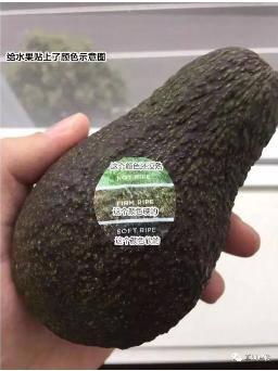 Z6·尊龙「中国」官方网站