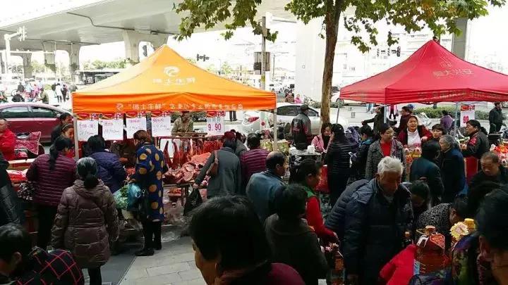 Z6·尊龙「中国」官方网站