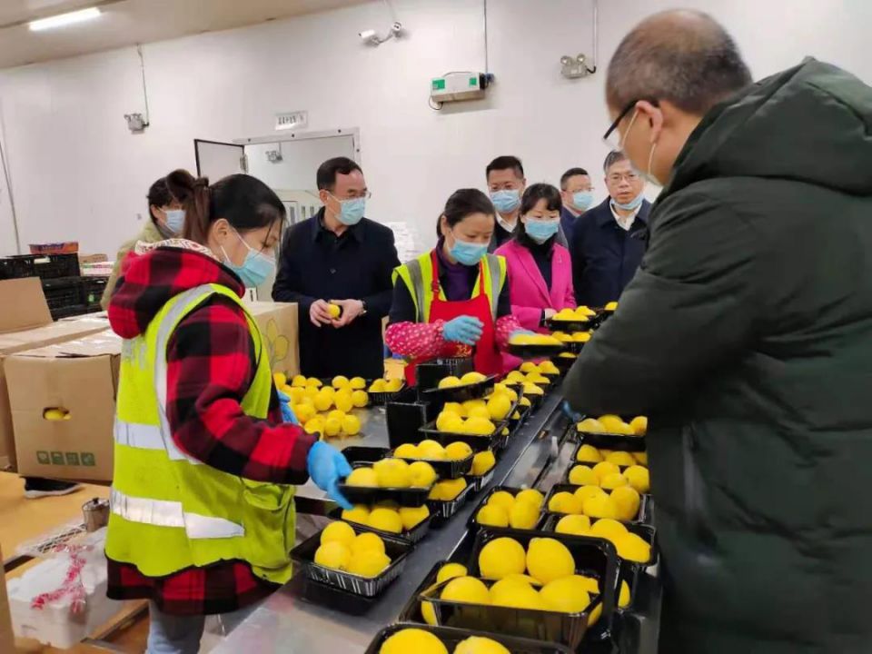 Z6·尊龙「中国」官方网站