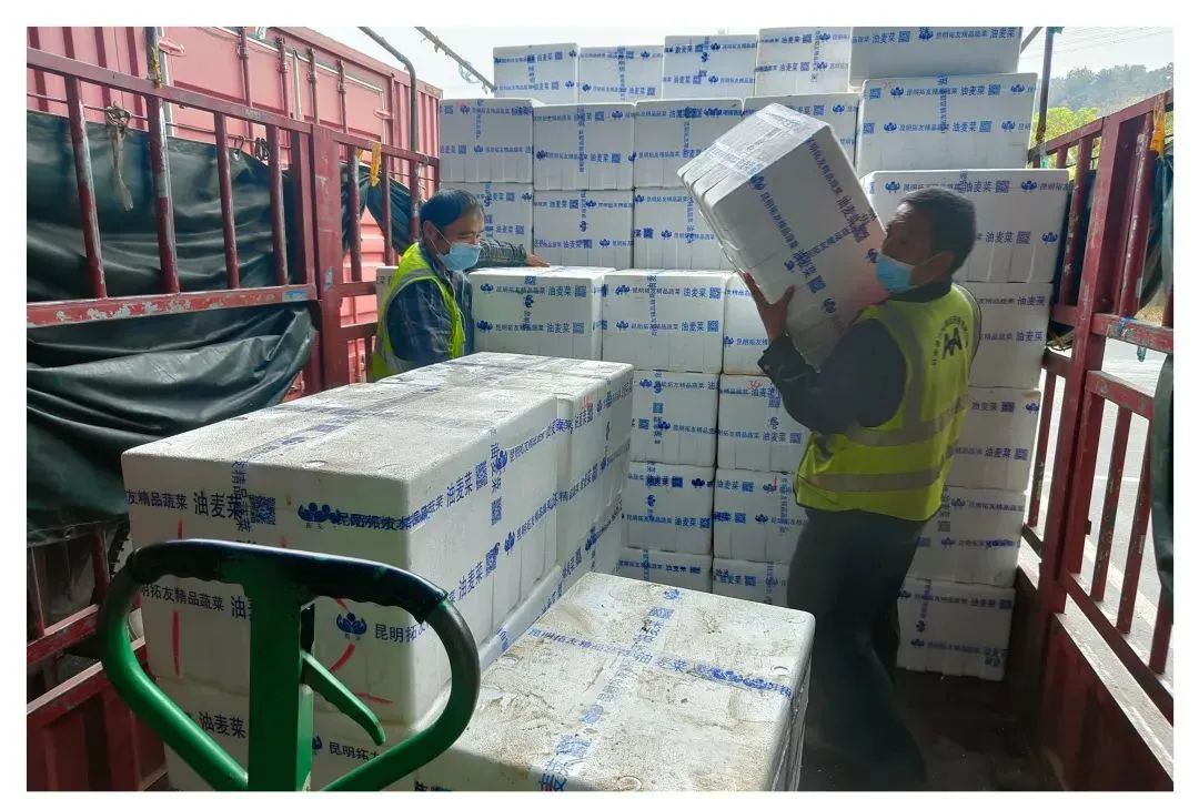 Z6·尊龙「中国」官方网站