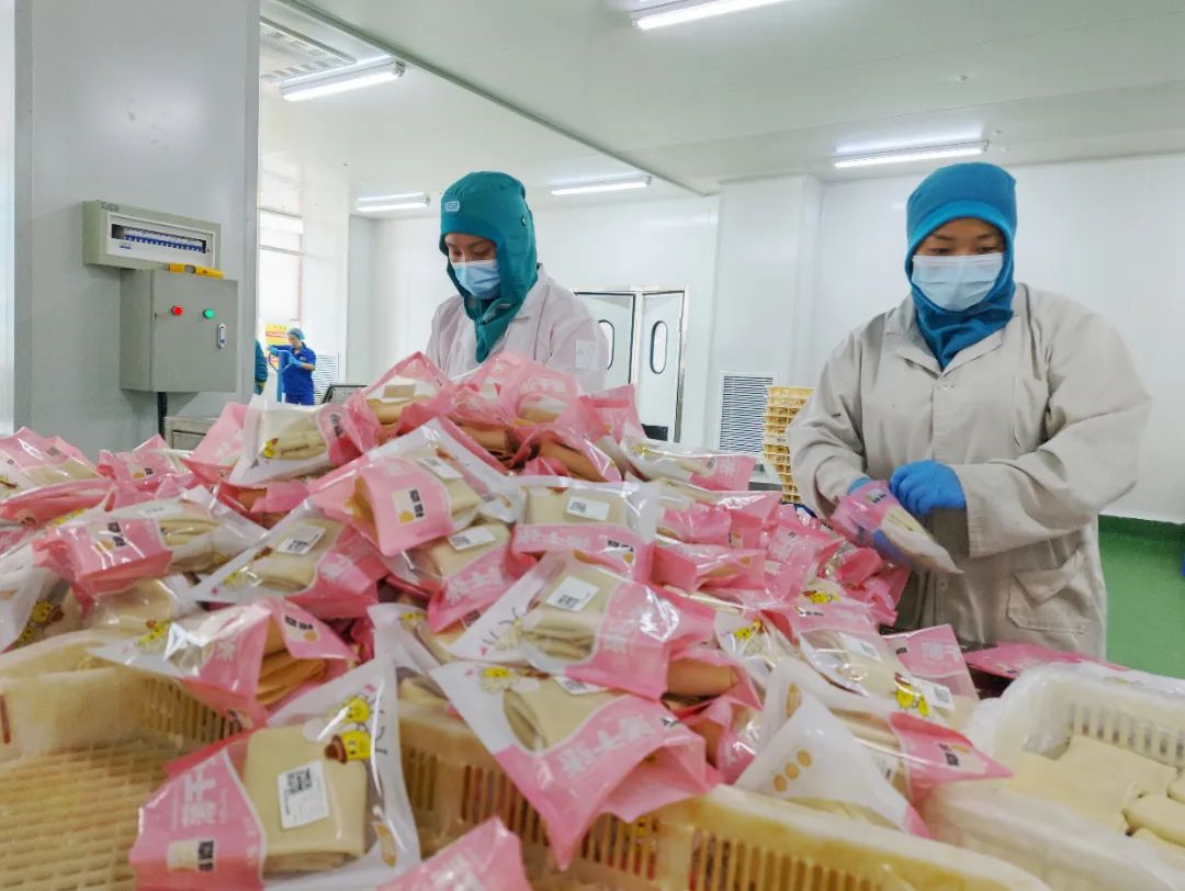 Z6·尊龙「中国」官方网站