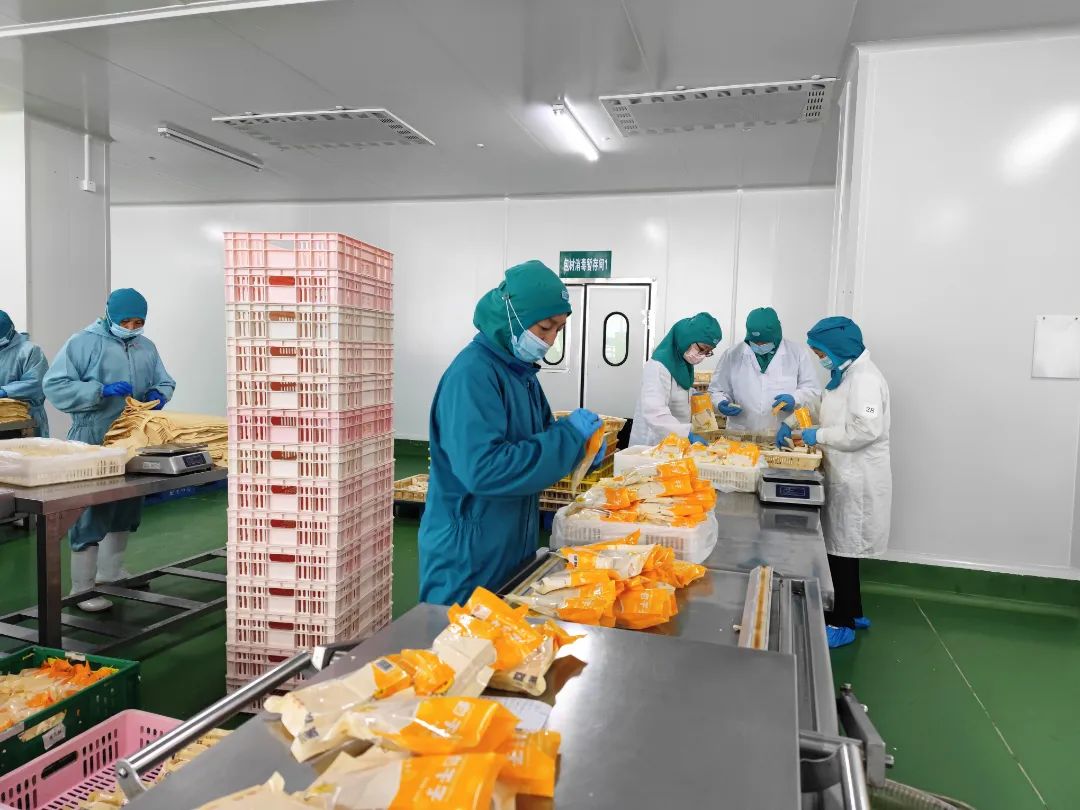 Z6·尊龙「中国」官方网站