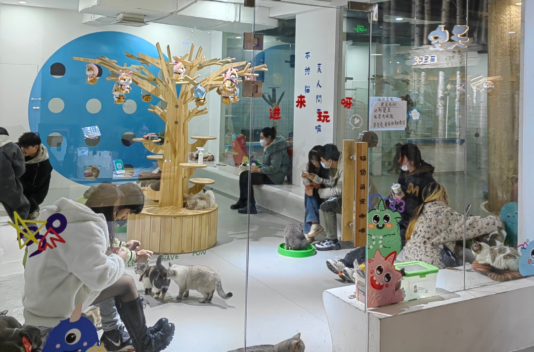 Z6·尊龙「中国」官方网站