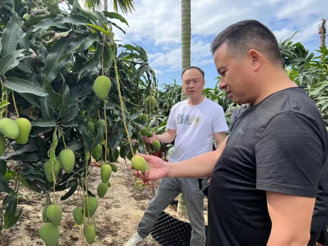 Z6·尊龙「中国」官方网站