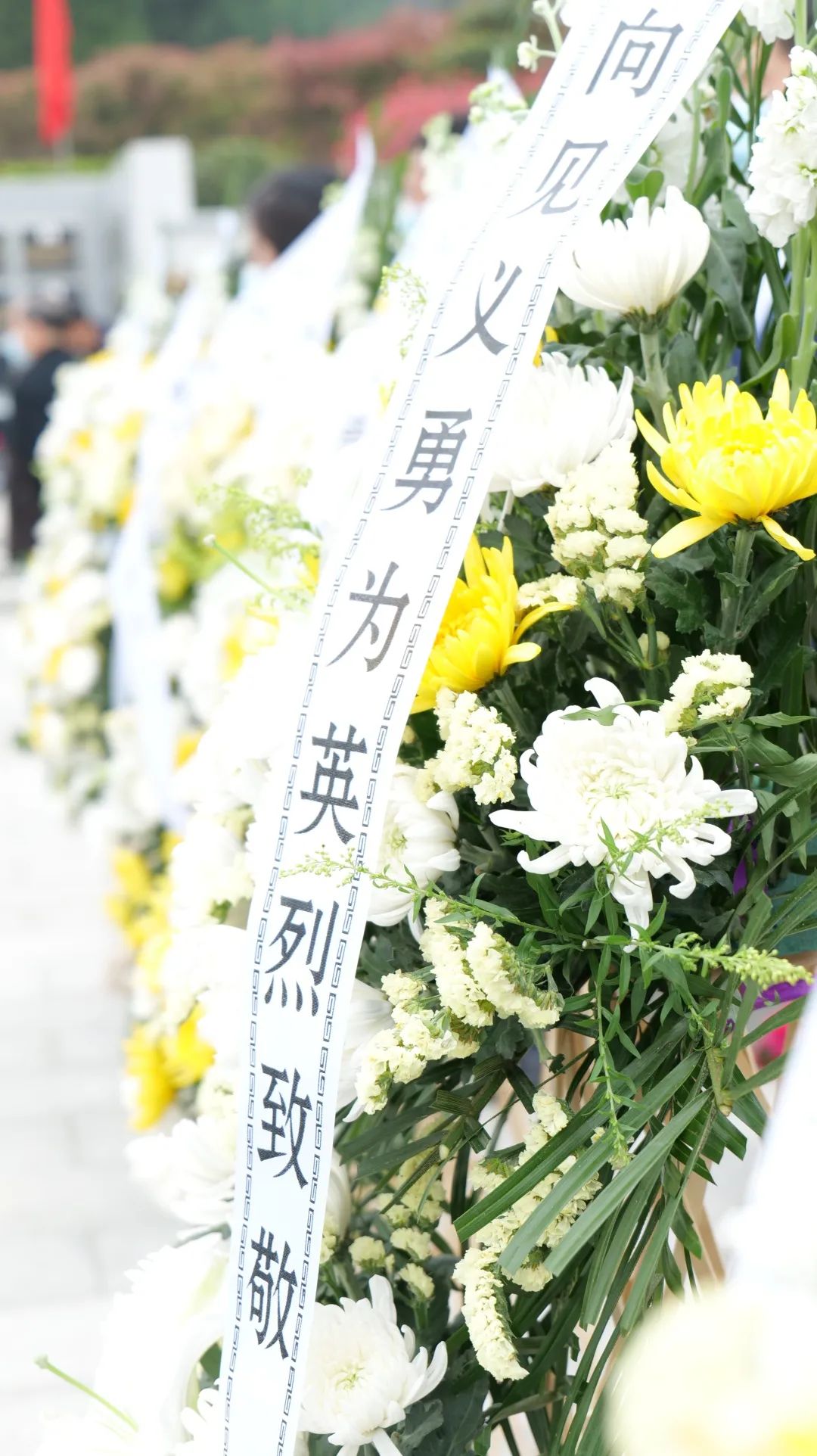 Z6·尊龙「中国」官方网站