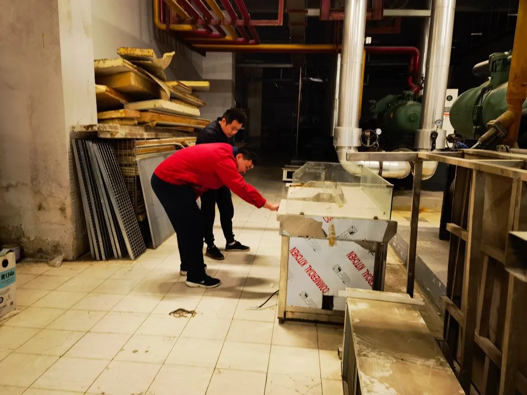 Z6·尊龙「中国」官方网站