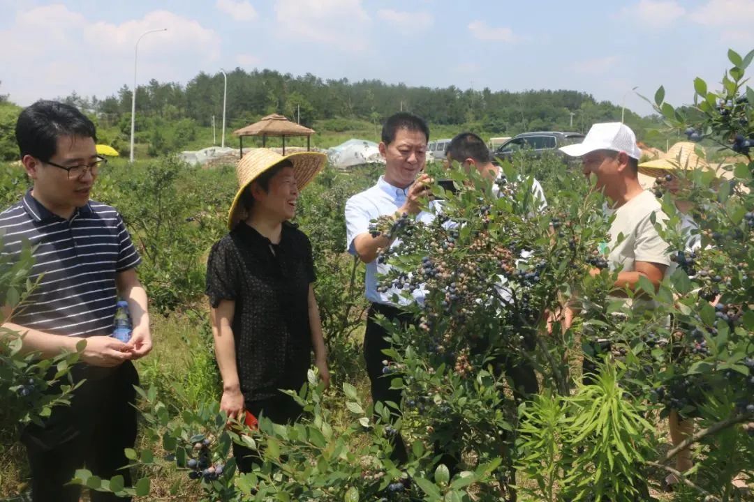 Z6·尊龙「中国」官方网站