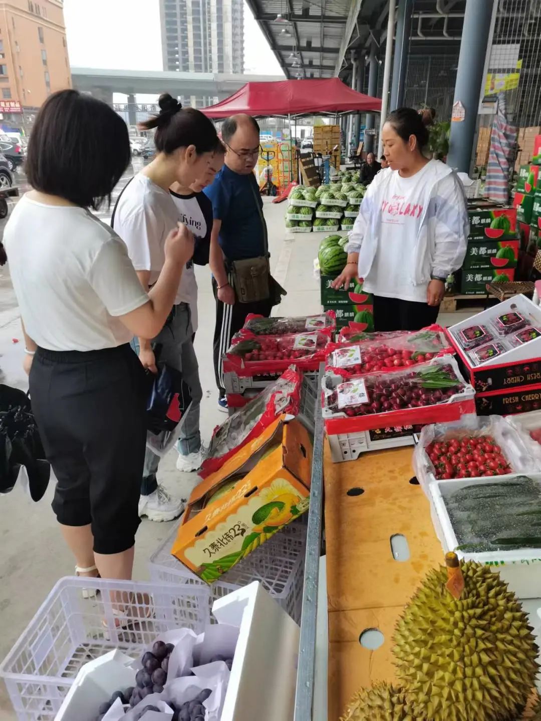 Z6·尊龙「中国」官方网站