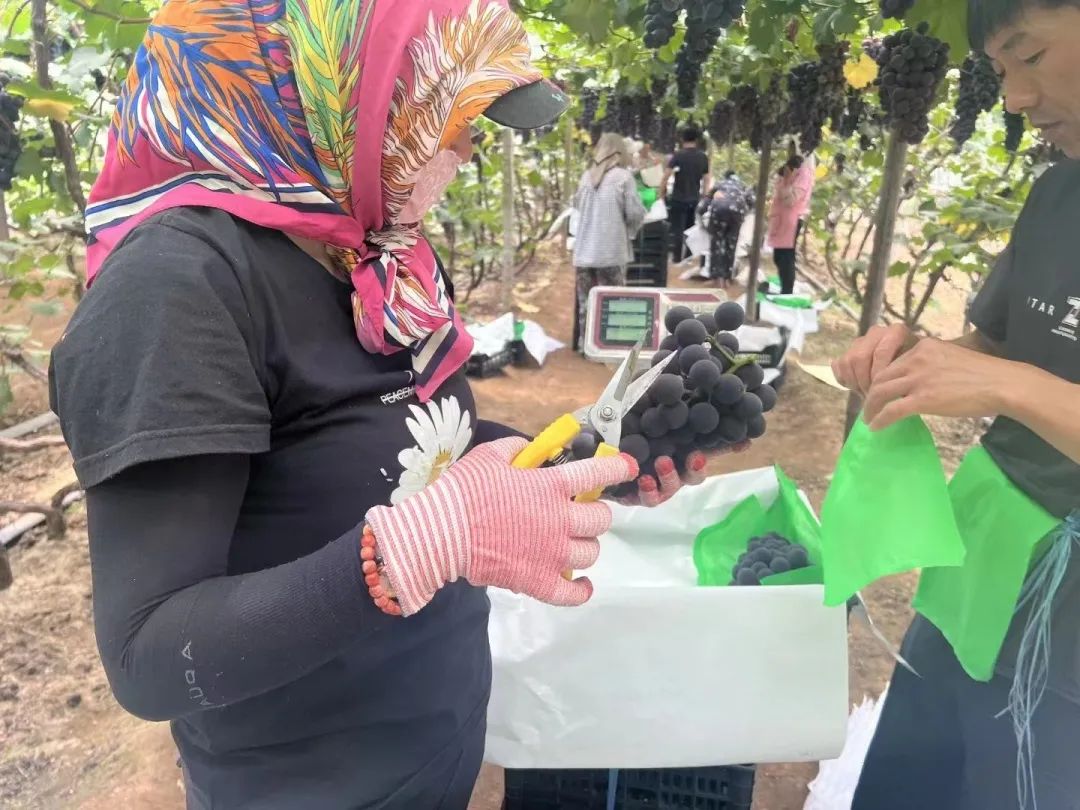 Z6·尊龙「中国」官方网站