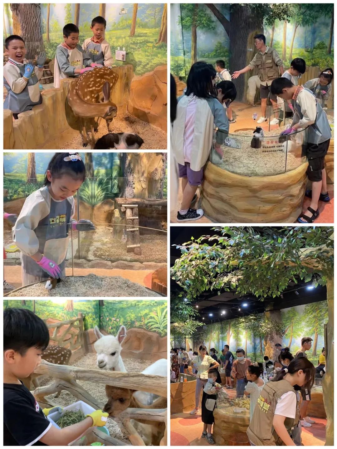 Z6·尊龙「中国」官方网站