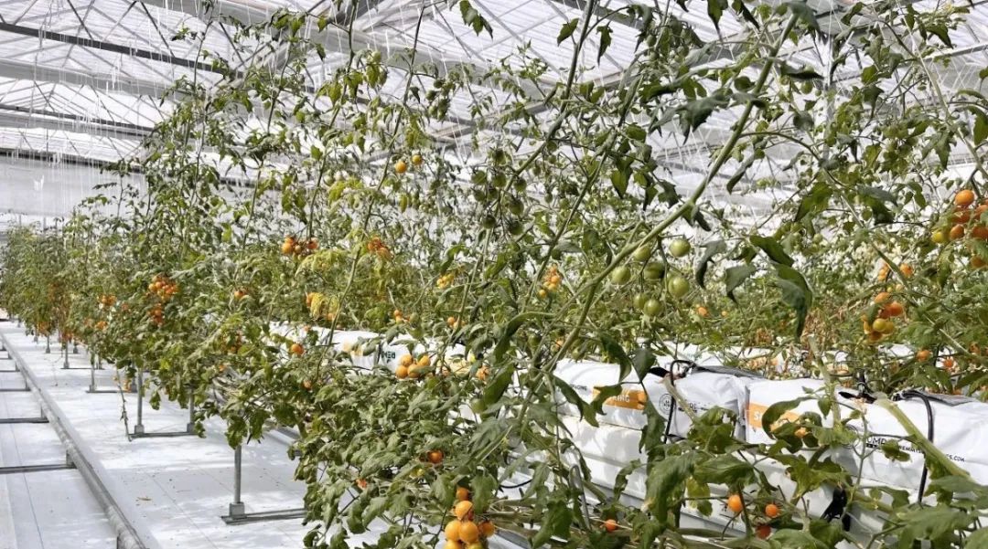 Z6·尊龙「中国」官方网站