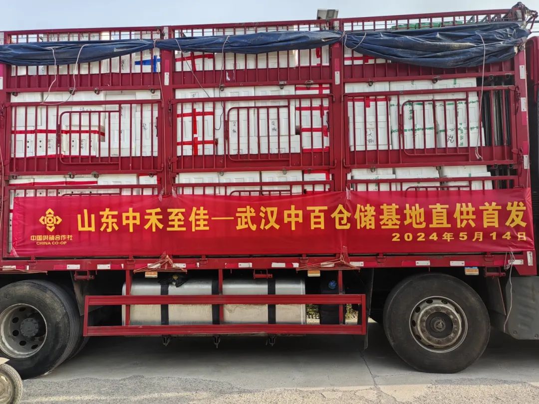 Z6·尊龙「中国」官方网站