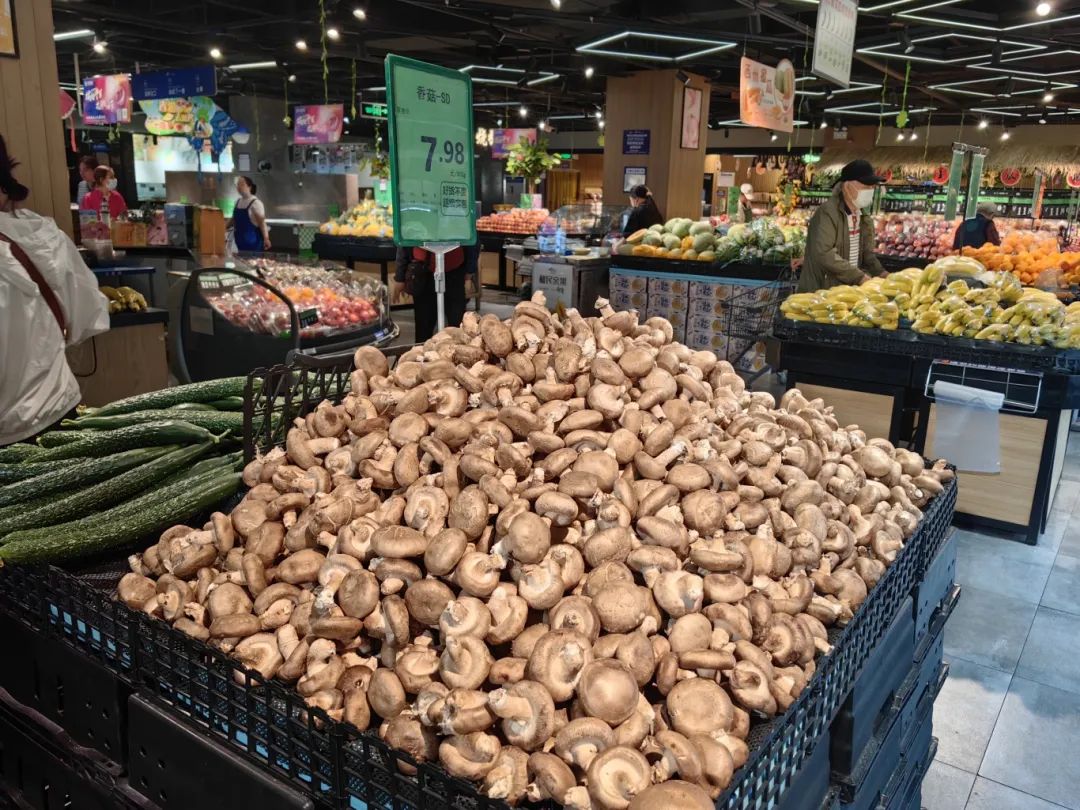 Z6·尊龙「中国」官方网站