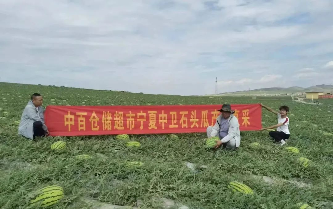 Z6·尊龙「中国」官方网站