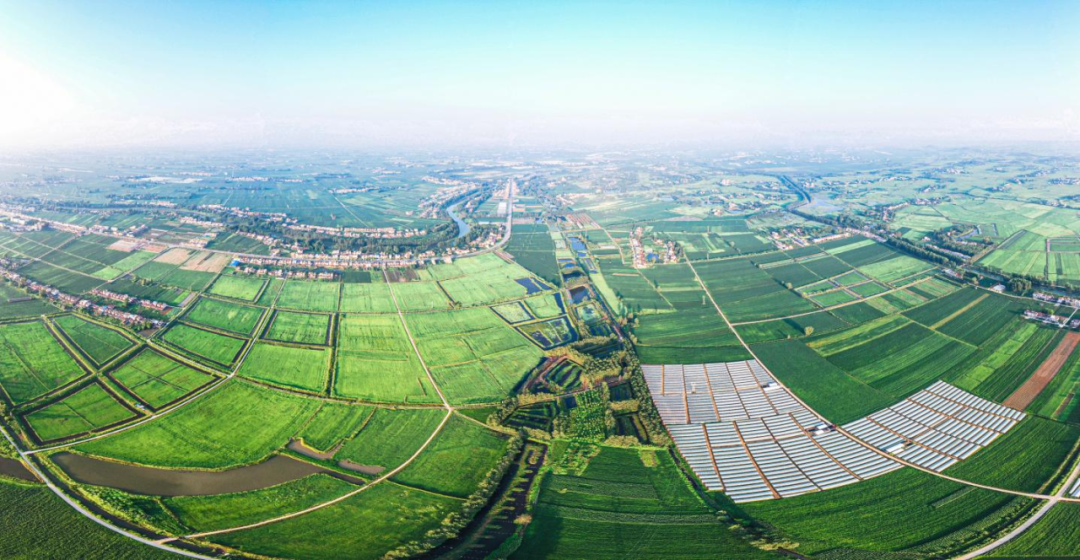 Z6·尊龙「中国」官方网站