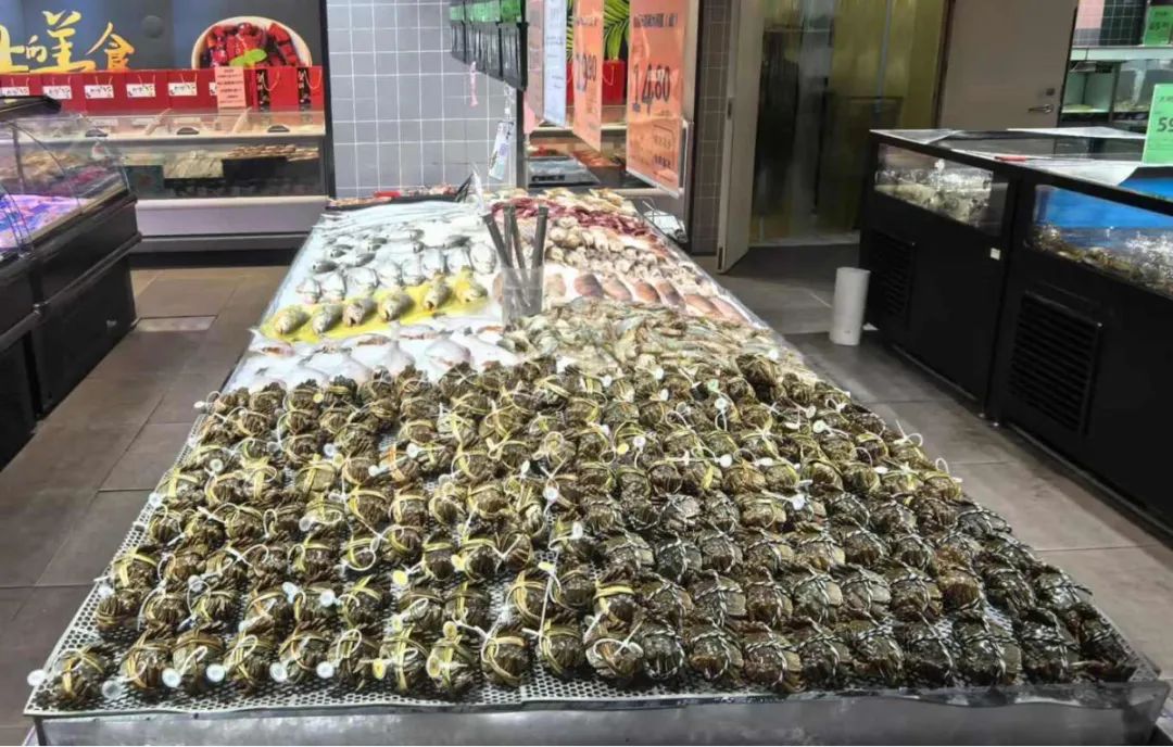 Z6·尊龙「中国」官方网站