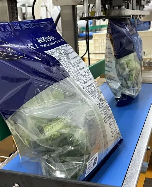 Z6·尊龙「中国」官方网站