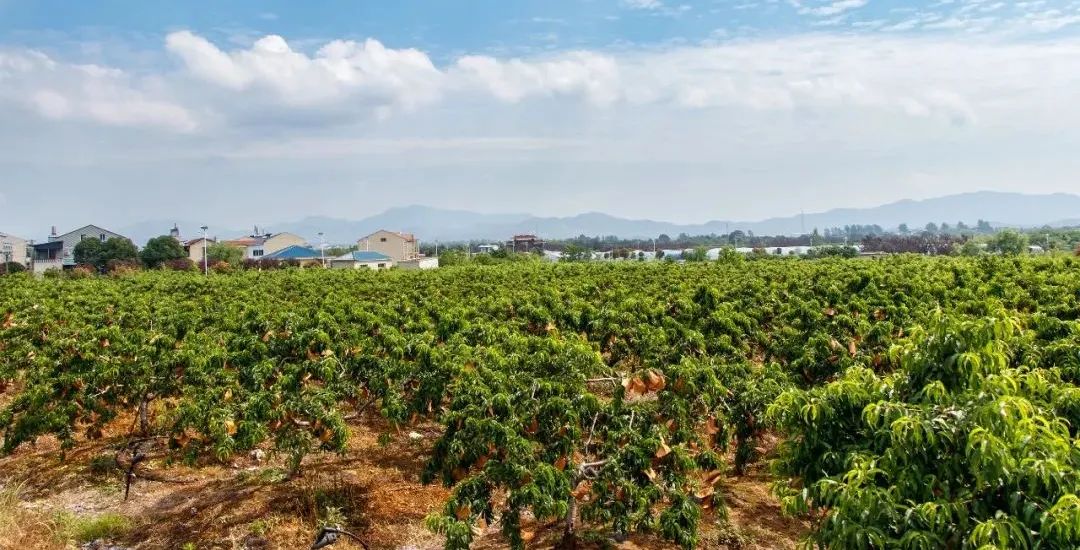 Z6·尊龙「中国」官方网站