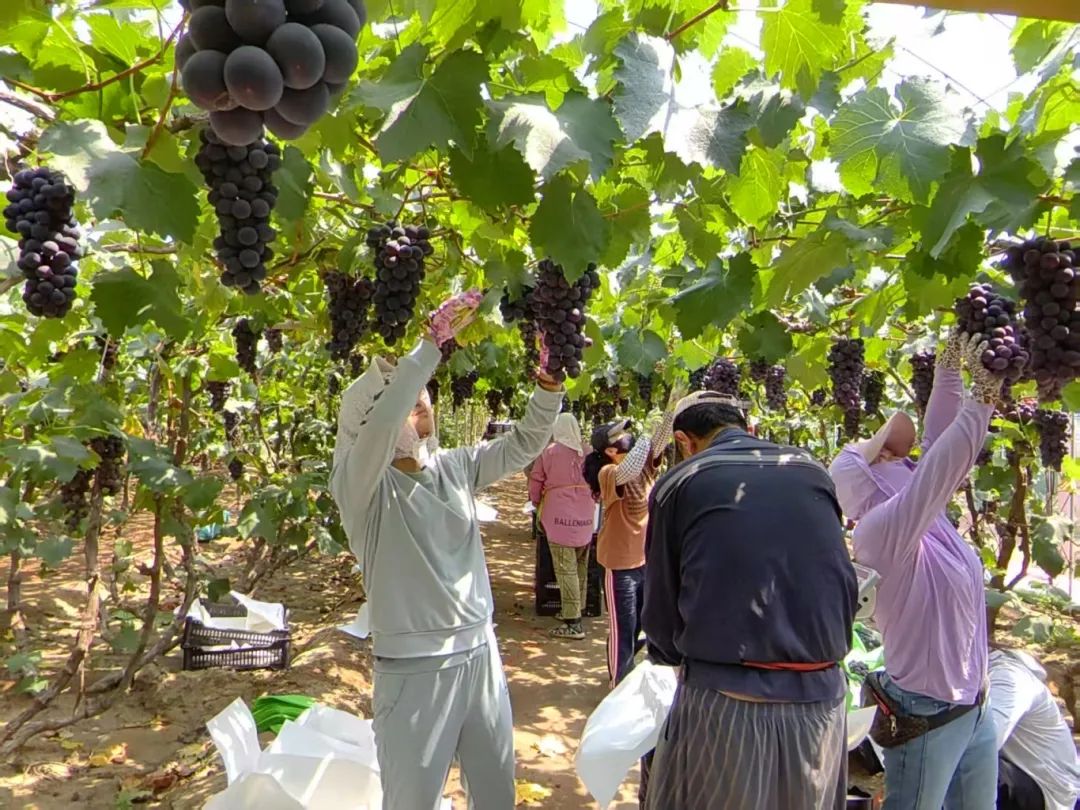 Z6·尊龙「中国」官方网站