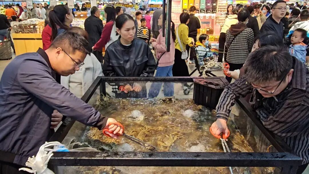 Z6·尊龙「中国」官方网站