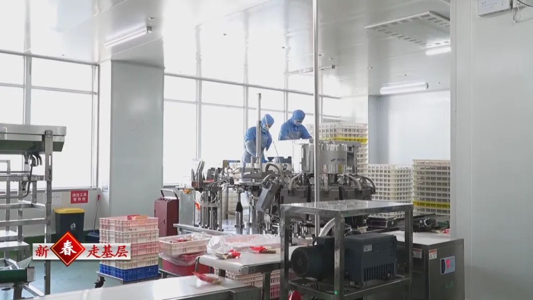 Z6·尊龙「中国」官方网站