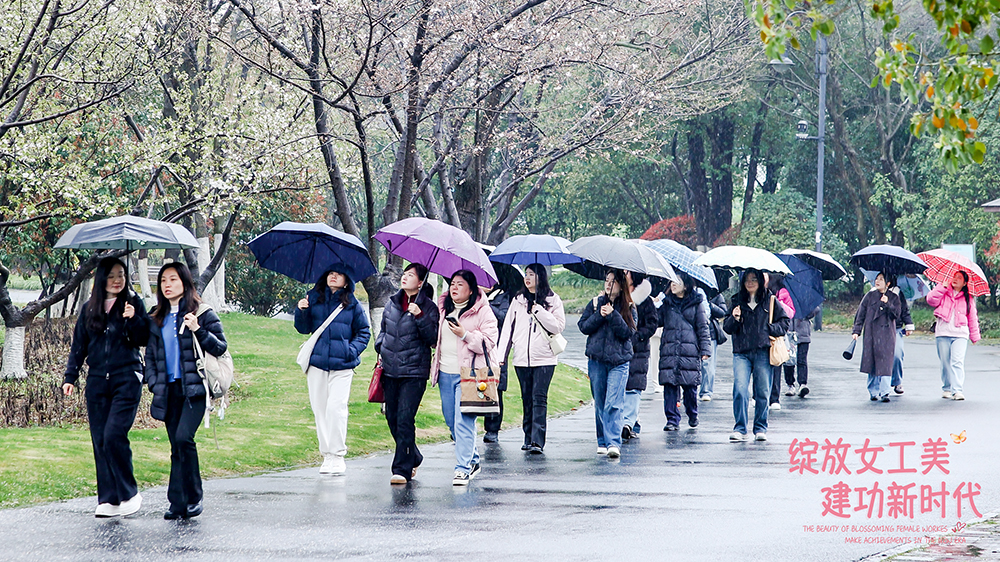 Z6·尊龙「中国」官方网站