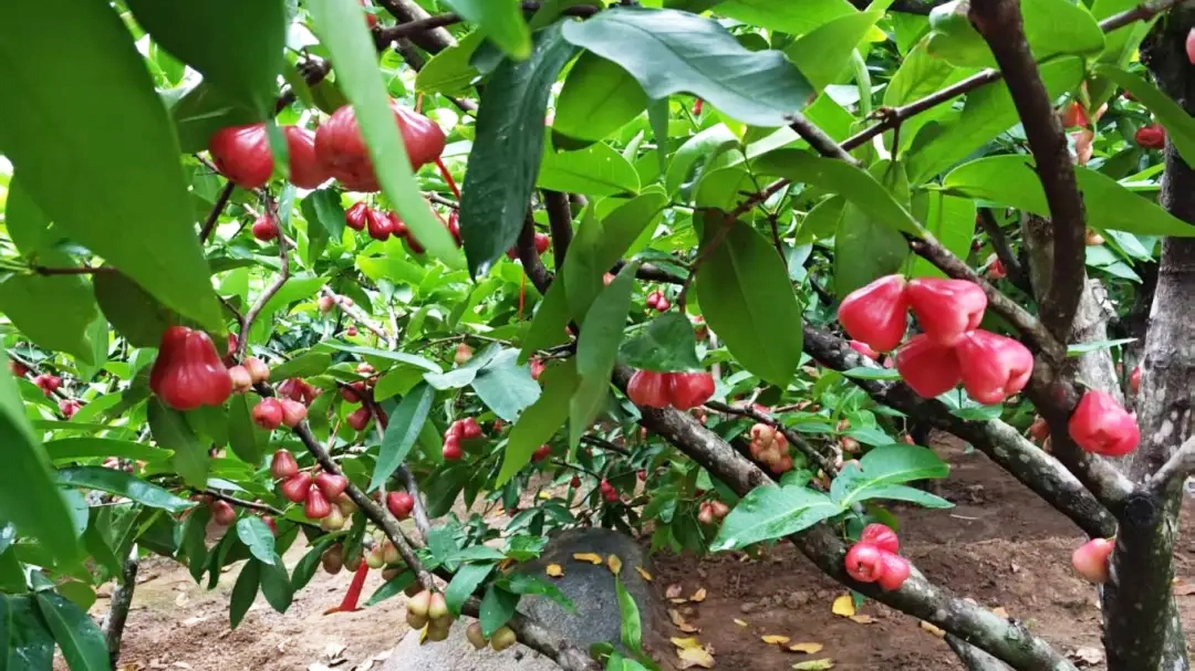 Z6·尊龙「中国」官方网站