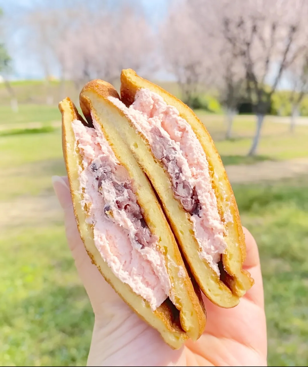 Z6·尊龙「中国」官方网站