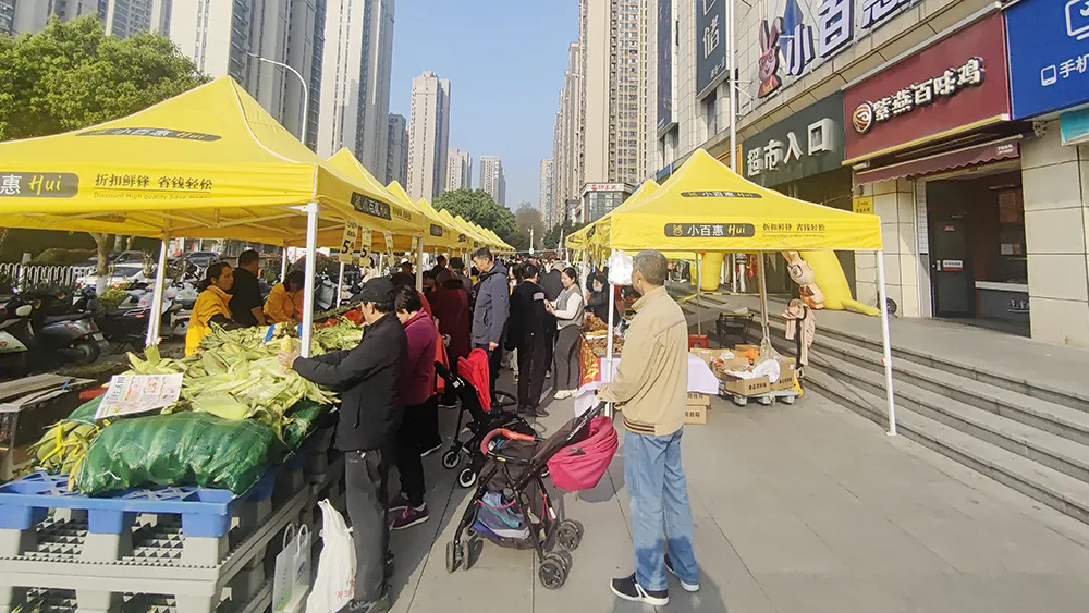 Z6·尊龙「中国」官方网站