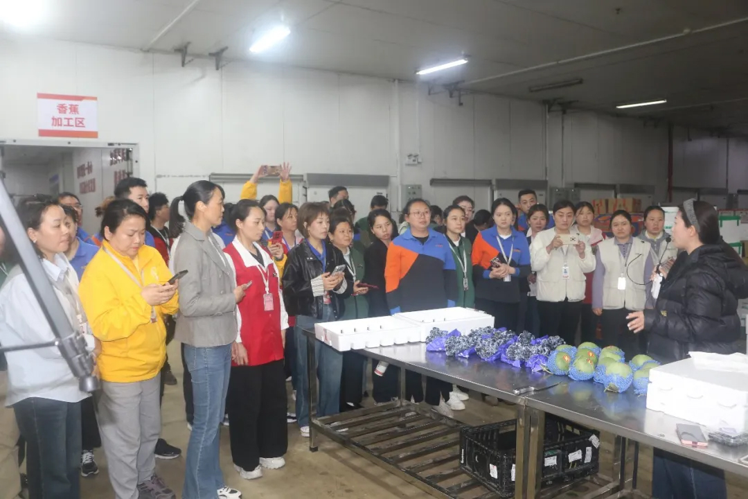 Z6·尊龙「中国」官方网站